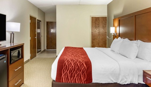 Room, 1 King Bed, Accessible, Non Smoking