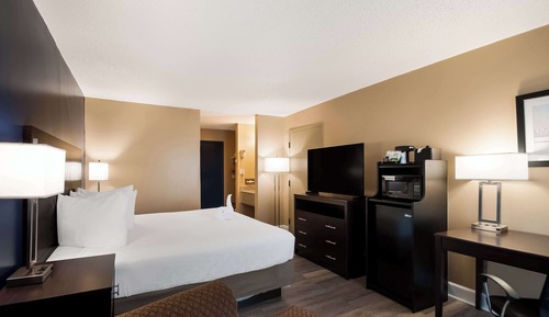 Standard Room, 1 King Bed, Non Smoking, Refrigerator & Microwave
