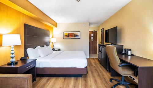 Standard Room, 1 King Bed with Sofa bed, Non Smoking (Dog Friendly)