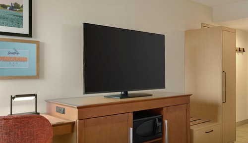 Room, 1 King Bed with Sofa bed, Refrigerator & Microwave (Shower)