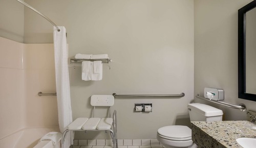 Suite, 1 Queen Bed, Accessible, Non Smoking (Efficiency)