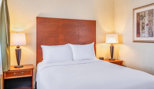 Suite, 1 Queen Bed, Non Smoking (One-Bedroom)