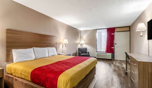 Standard Room, 1 King Bed, Non Smoking