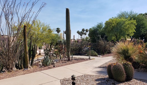 Suite, 1 King Bed, Non Smoking (Casita Stargazer, One-Bedroom)