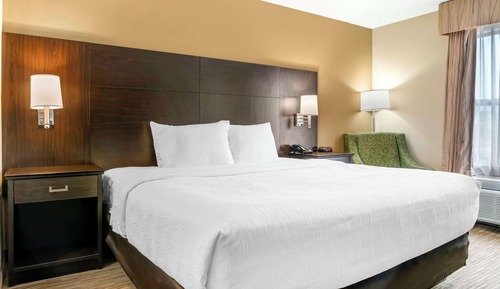 Room, 1 King Bed, Non Smoking (Upgrade)