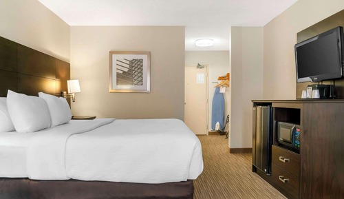 Standard Room, 1 King Bed, Non Smoking