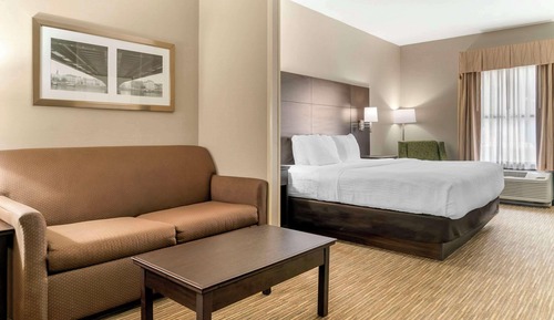 Suite, 1 King Bed with Sofa bed, Accessible, Non Smoking