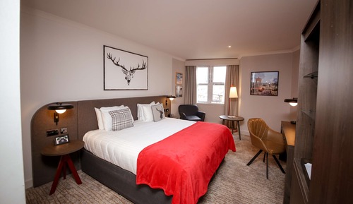 Executive Room, 1 Double Bed, Non Smoking