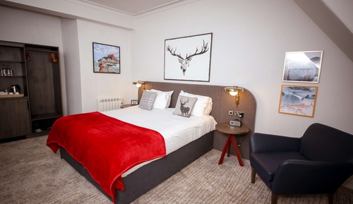 Executive Room, 1 King Bed, Non Smoking (with Sofabed)