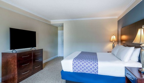 Room, 1 King Bed, Accessible, Non Smoking (Mobility/Hearing/Roll in Shower)