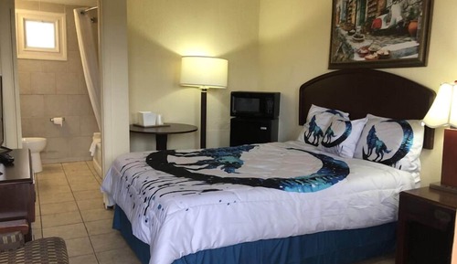 Room, 1 King Bed, Smoking