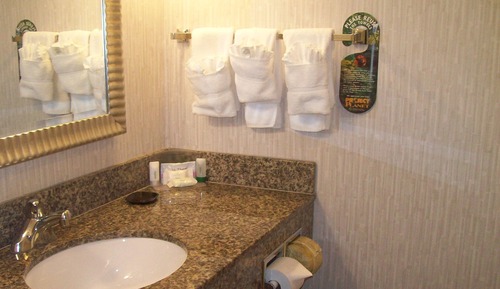 Suite, 1 Bedroom