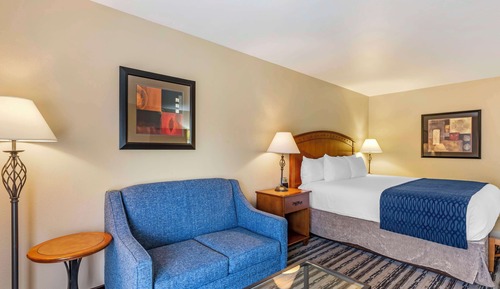 Standard Room, 1 King Bed, Non Smoking, Patio (Oversized Room)