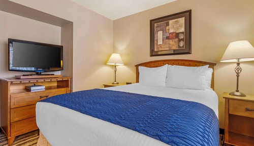 Standard Room, 1 Queen Bed, Non Smoking, Refrigerator & Microwave (Small Room)