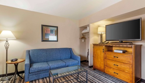 Suite, 1 King Bed, Non Smoking, Microwave (with Sofabed)
