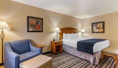Standard Room, 1 King Bed, Non Smoking, Refrigerator & Microwave
