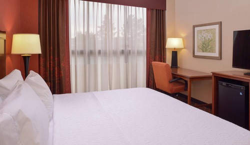 Room, 1 King Bed, Accessible, Non Smoking