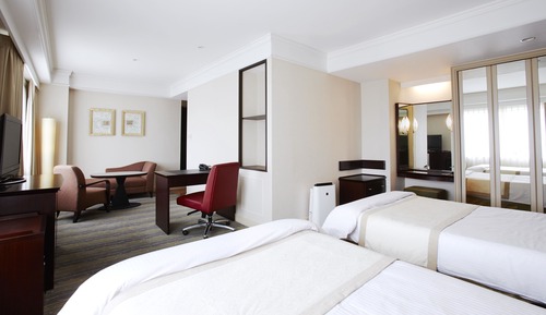 Executive Floor Deluxe Twin Room, No Smoking (Higher Floor, Breakfast & Executive Lounge Access)