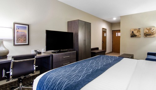 Suite, 1 King Bed with Sofa bed, Non Smoking