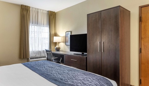 Room, 1 King Bed, Accessible, Non Smoking