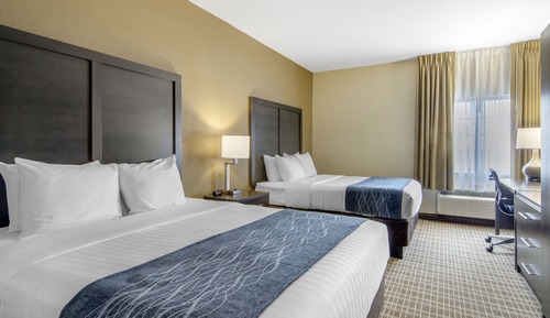 Standard Room, 2 Queen Beds