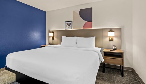 Room, 1 King Bed with Sofa bed