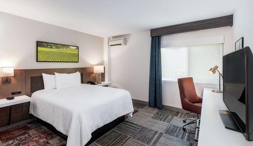 Room, 1 Queen Bed