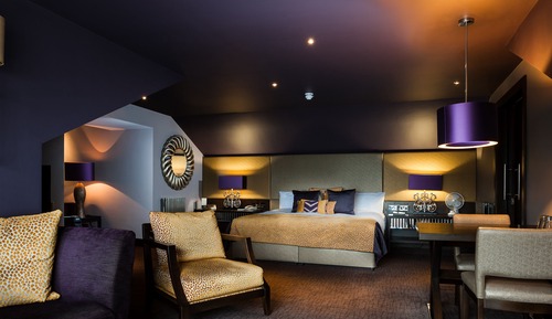 Cygnet Suite