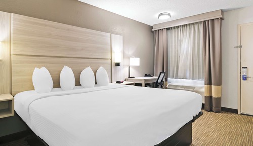 Standard Room, 1 King Bed, Non Smoking, Refrigerator & Microwave