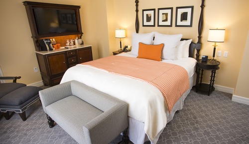 Deluxe Single Room, 1 King Bed, Terrace, Garden View