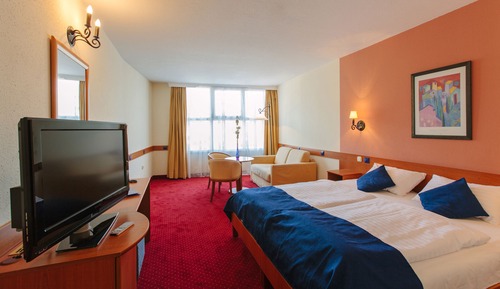 Standard Double Room Single Use
