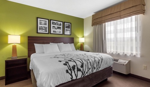 Suite, 1 King Bed, Non Smoking