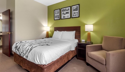 Room, 1 Queen Bed, Accessible, Non Smoking