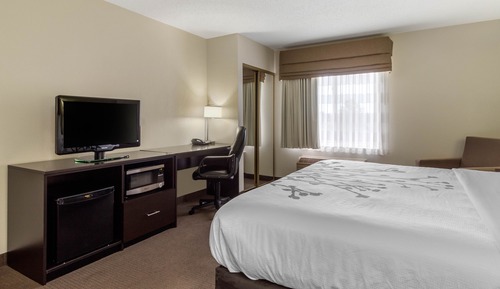 Standard Room, 1 King Bed, Non Smoking