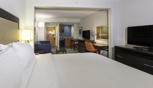 Suite, 1 King Bed with Sofa bed