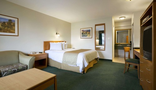 Efficiency, Suite, 1 Queen Bed, Non Smoking