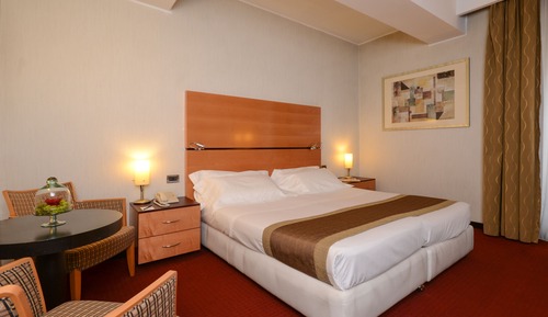 Superior Double Room Single Use