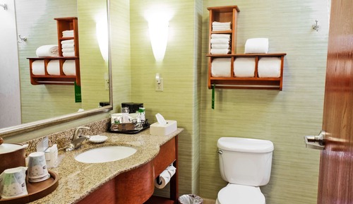 Room, 1 King Bed, Accessible