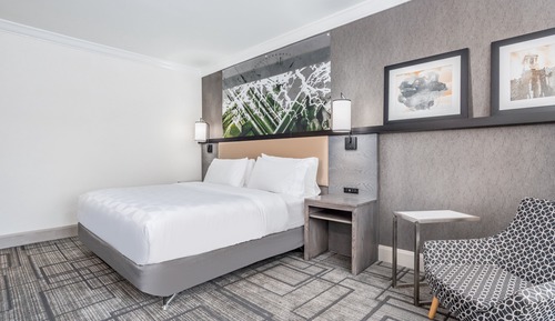 Standard Room, 1 King Bed, City View
