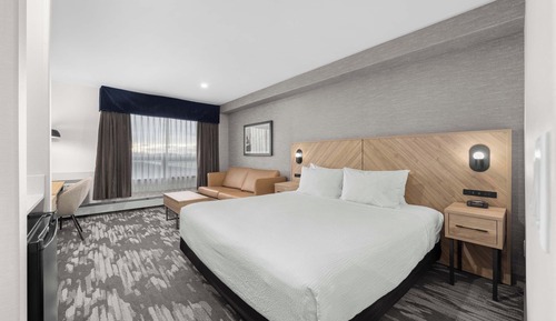 Standard Room, 1 King Bed with Sofa bed