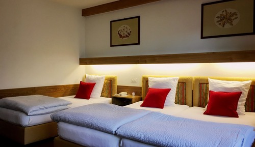 Double or Twin Room