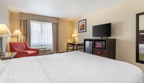 Standard Room, 1 Queen Bed, Non Smoking