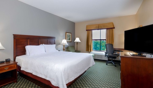 Room, 1 King Bed, Accessible, Non Smoking (Roll-in Shower, Mobility & Hearing)
