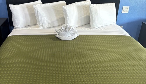Standard Room, 1 King Bed, Accessible