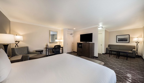 Suite, 1 King Bed, Non Smoking, Refrigerator & Microwave (with Single Sofabed;Larger Room)