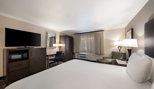 Standard Room, 1 King Bed, Non Smoking, Refrigerator & Microwave (Pet Friendly)