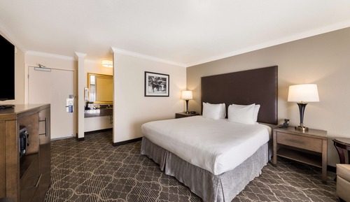 Standard Room, 1 King Bed, Non Smoking, Patio (Not Pet Friendly)