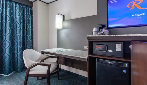 Mini Executive Room, 1 King Bed, Sitting Area, Refrigerator (No Pets Allowed)