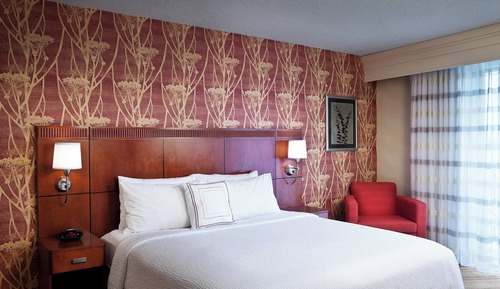 Room, 1 King Bed with Sofa bed, City View