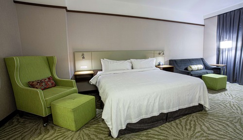 Room, 1 King Bed (Drinks & Snacks)